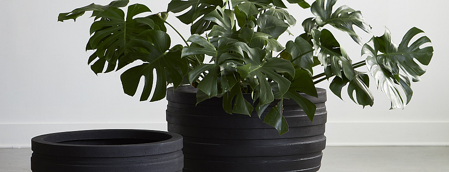 Planters