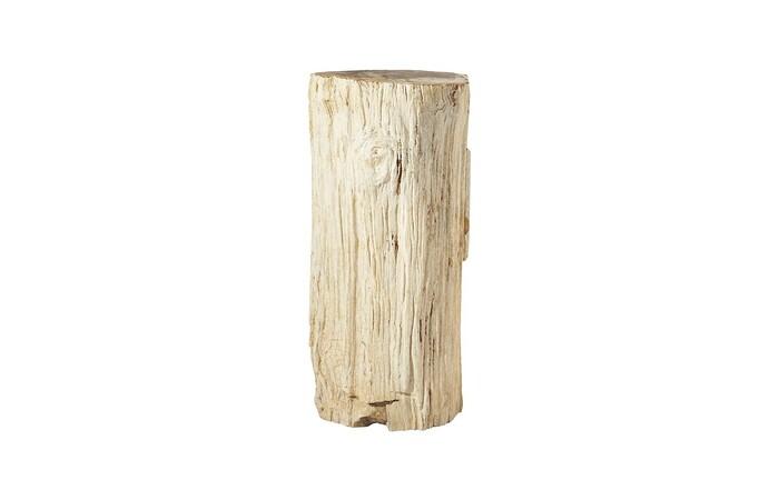 Petrified Wood Pedestal
