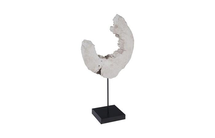 Eroded Wood C Sculpture on Stand ,Assorted