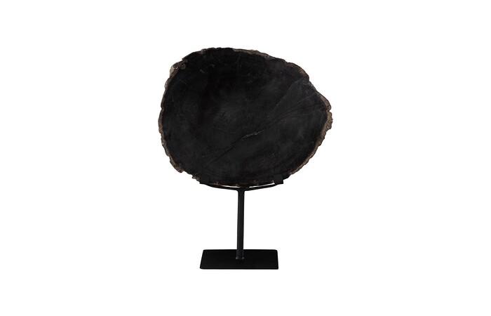 Petrified Wood Slice on Stand, Black, Assorted