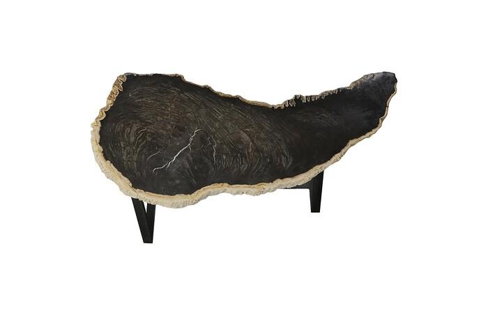 Petrified Wood Coffee Table, Black Iron Base