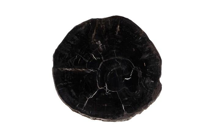 Petrified Coffee Table, Round, Metal Black Base