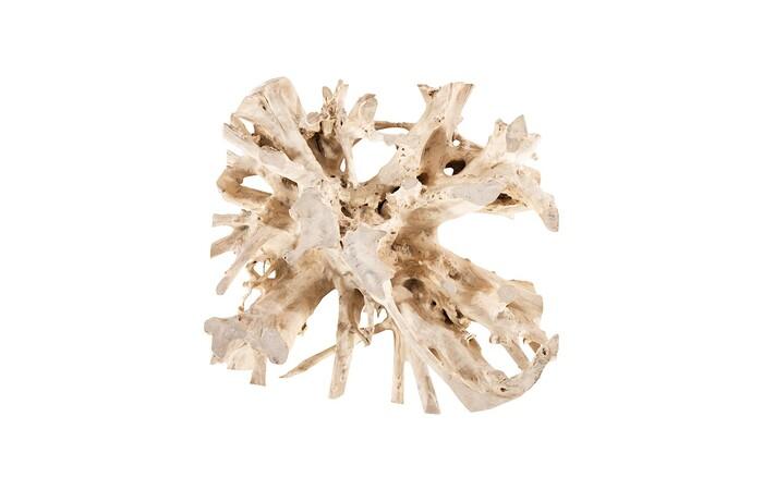 Teak Root Coffee Table, Bleached, Round