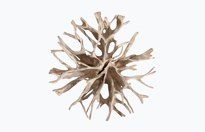 Teak Root Coffee Table, Bleached