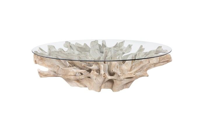 Teak Root Coffee Table, Bleached