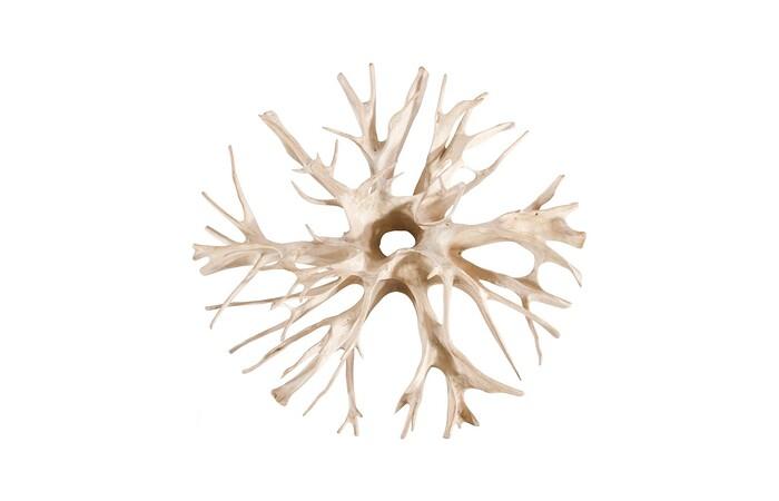 Teak Root Coffee Table, 78.5” Glass