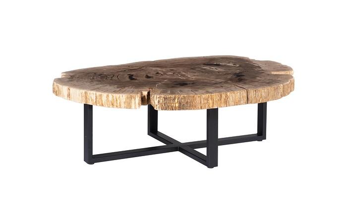 Petrified Wood Coffee Table, Black Metal Base