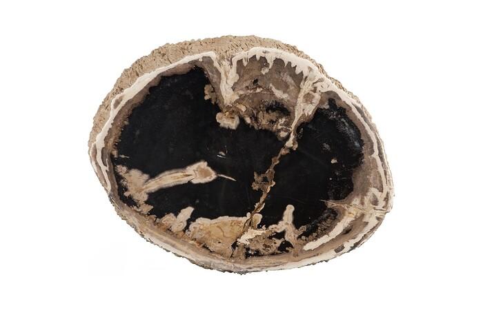 Chaka Petrified Stool, Rough, Cream
