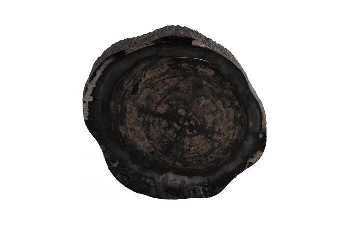 Chaka Petrified Coffee Table, Rough, Black, Small