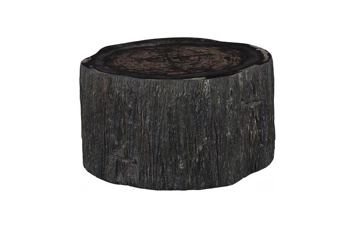 Chaka Petrified Coffee Table, Rough, Black, Small