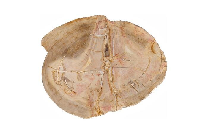 Petrified Wood Coffee Table, Stainless Steel Base, Assorted