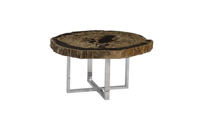 Petrified Wood Coffee Table, Stainless Steel Base