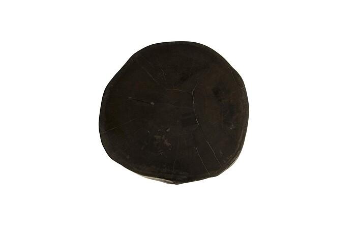 Petrified Wood Slab, Assorted