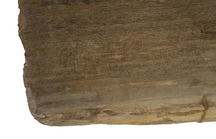 Petrified Coffee Table