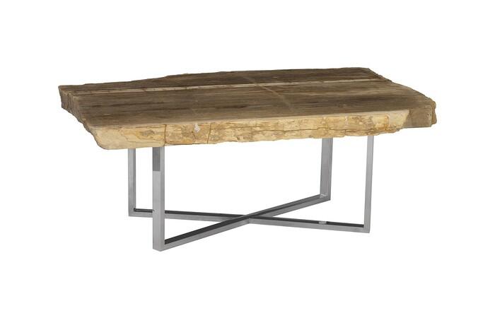 Petrified Coffee Table