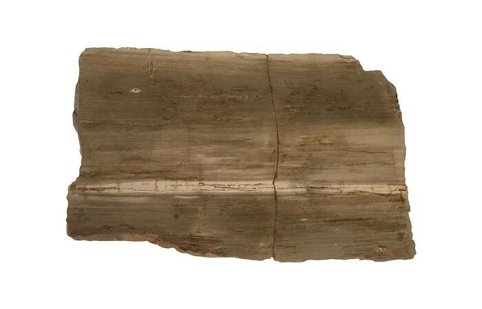 Petrified Wood Coffee Table, Stainelss Steel Base