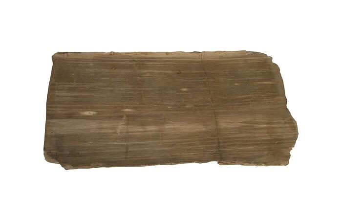 Petrified Wood Coffee Table, Stainless Steel Base
