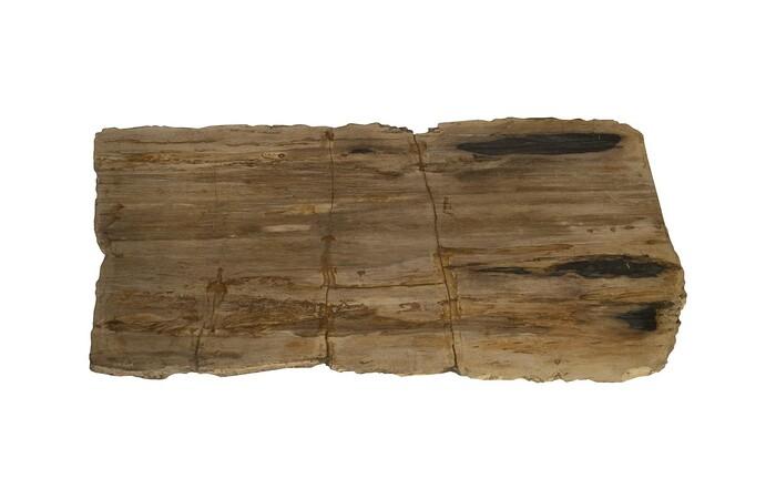 Petrified Wood Coffee Table, Stainless Steel Base