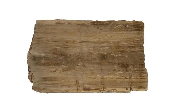 Petrified Wood Coffee Table, Rectangle, Stainelss Steel Base