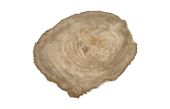 Petrified Wood Coffee Table, Stainless Steel Base, Assorted