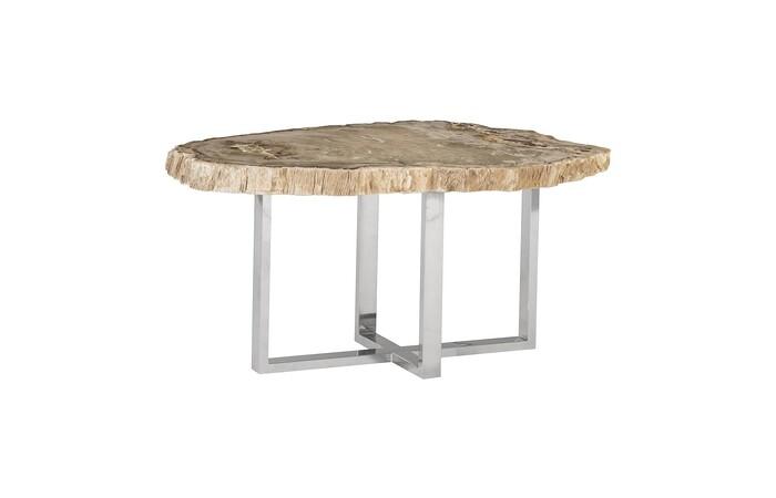 Petrified Wood Coffee Table, Stainless Steel Base