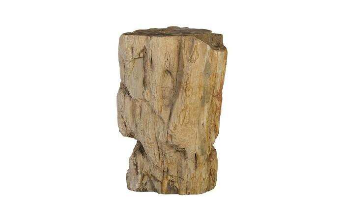 Petrified Wood Pedestal