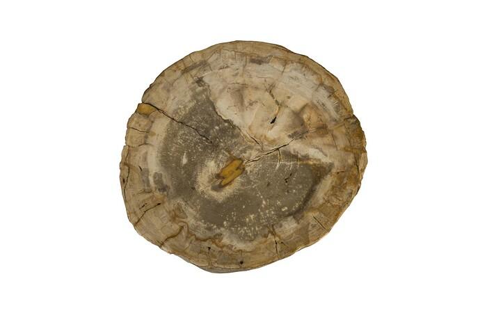Petrified Wood Stool, Colossal