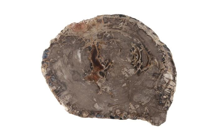 Petrified Wood Pedestal