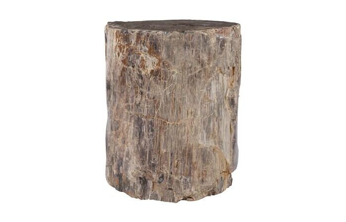 Petrified Wood Pedestal