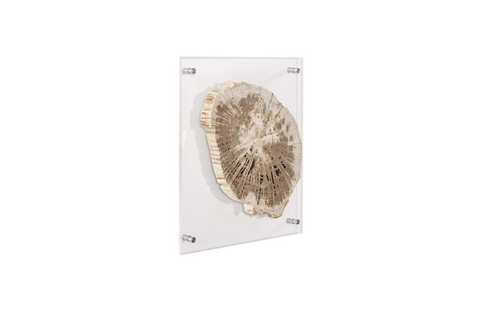 Floating Petrified Slice Wall Art, Assorted 