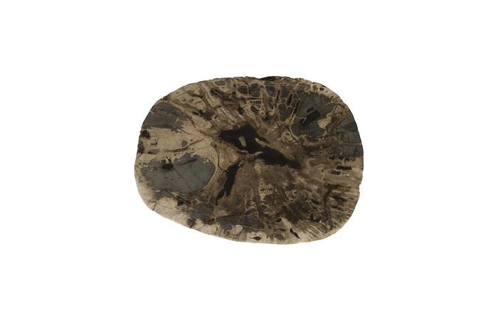 Petrified Wood Stool, Polished Mixed, Assorted, 14"-15" x 17"-19"h