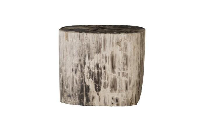 Petrified Wood Stool, Polished Mixed, Assorted, 14"-15" x 17"-19"h