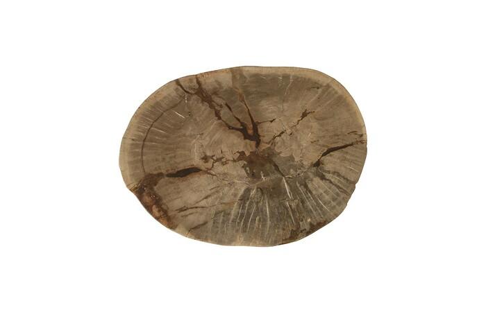 Petrified Wood Stool, Polished, Cream, 16"- 20" x 17"-19"h, Assorted