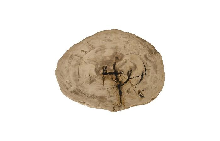Petrified Wood Stool, Rough,Cream,  10"-14" x 17"-19"h, Assorted