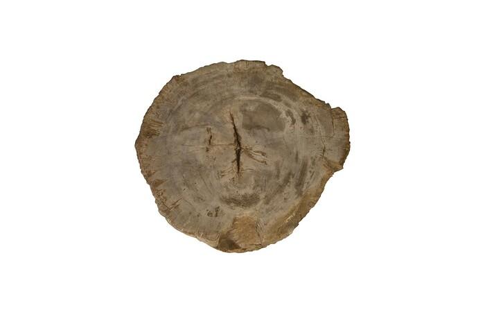 Petrified Wood Stool, Rough, 15"-18" x 17"-19"h , Assorted