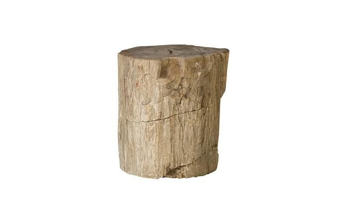 Petrified Wood Stool, Rough, 15"-18" x 17"-19"h , Assorted