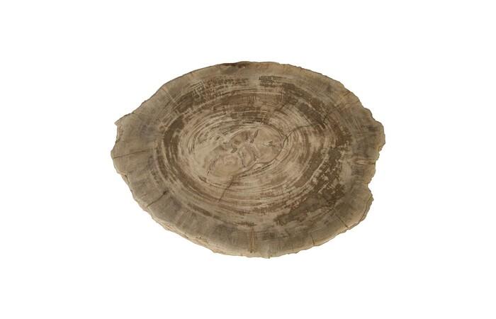Petrified Wood Stool, Rough,  19"-24" x 17"-19"h , Assorted