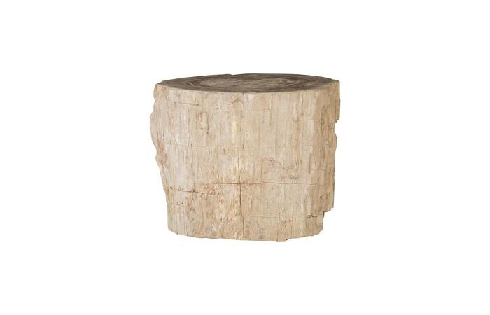 Petrified Wood Stool, Rough,  19"-24" x 17"-19"h , Assorted
