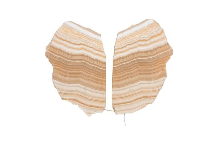 Onyx Butterfly Sconce