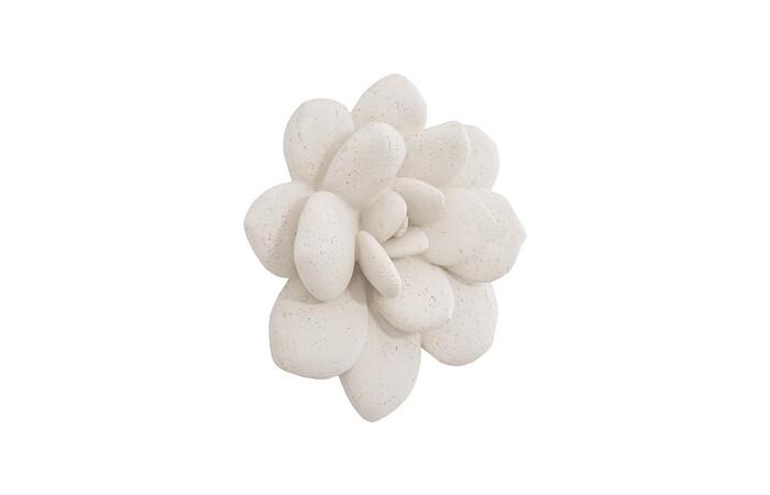 Laui Succulent Wall Art, White Stone