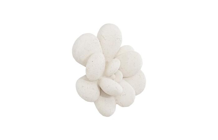 Oviferum Succulent Wall Art, White Stone