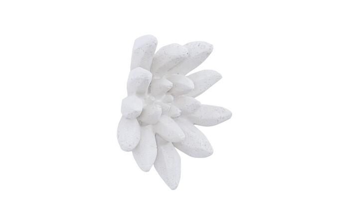 Compactum Succulent Wall Art, White Stone