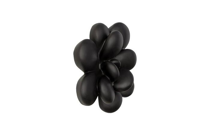 Oviferum Succulent Wall Art, Smooth Matte Black