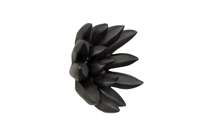 Compactum Succulent Wall Art, Smooth Matte Black