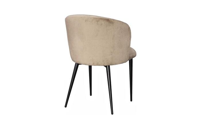 Camel Dining Chair, Set Of 2, Velvet Dark Beige & Lush Beige, Matte Black Metal Frame