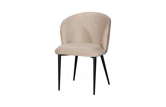 Camel Dining Chair, Set Of 2, Velvet Dark Beige & Lush Beige, Matte Black Metal Frame