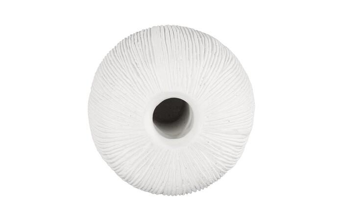Vasti Vase, SM
