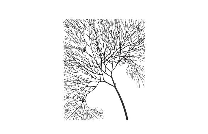 Wire Tree Wall Art, Rectangular, Metal, Black