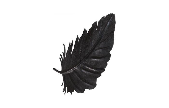 Feather Wall Decor, Black, Metal, SM